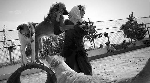 Iranian Dog Owners