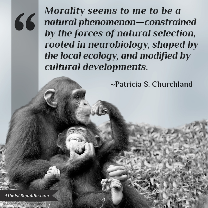 Morality a Natural Phenomenon