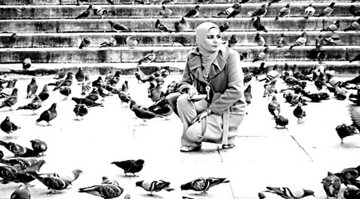 Pigeons Islamic State