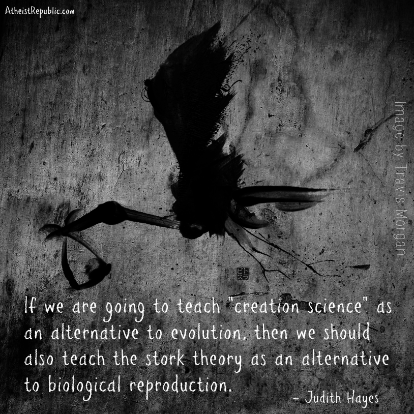 Stork Theory