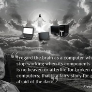 I regard the brain as a computer