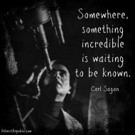 Something Incredible - Carl Sagan