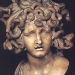 Medusa's picture