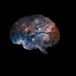 Blue Grey Brain's picture