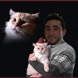 Matthew Rosso's picture